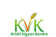 KVK Logo